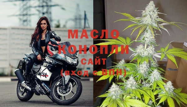 хмурый Горняк