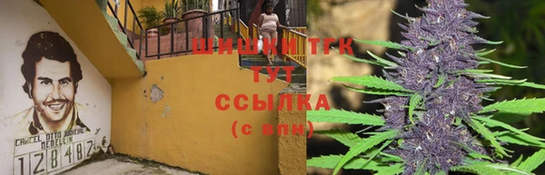 хмурый Горняк