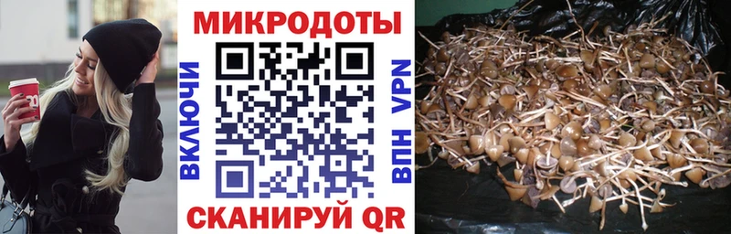 Купить где  Елец  Псилоцибиновые грибы мухоморы 